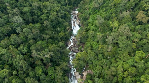 Slot Online Jeux De Casino Gratuits