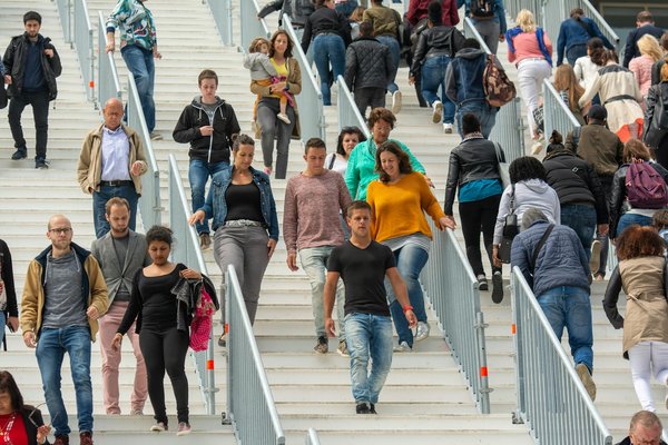 Jeu De Belote 8 Donnes