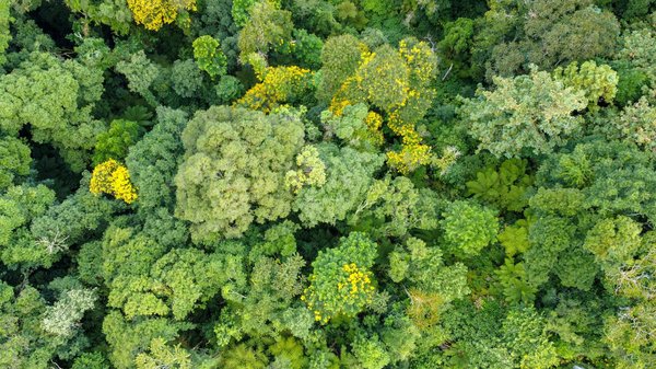 Roulette Puis Je Gagner