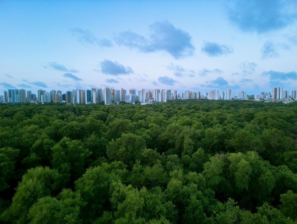 Jouer Blackjack Casino