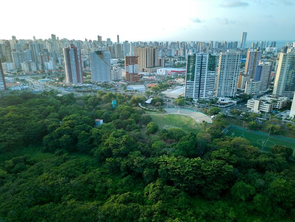 Technique De La Roulette Anglaise