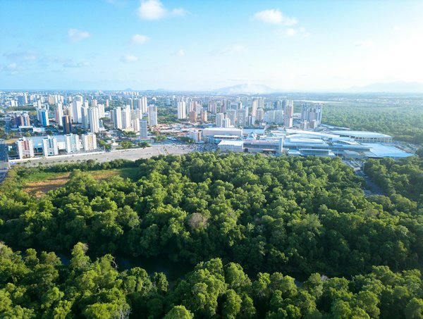 Slots Gratuits Buffalo