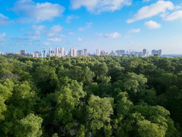 Techniques Pour La Roulette