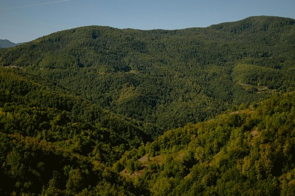 Meilleur Jeux Casino Ios