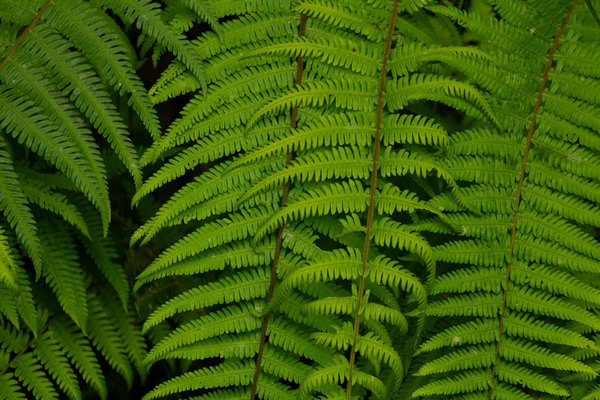 Augmenter Les Chances De Gagner La Roulette