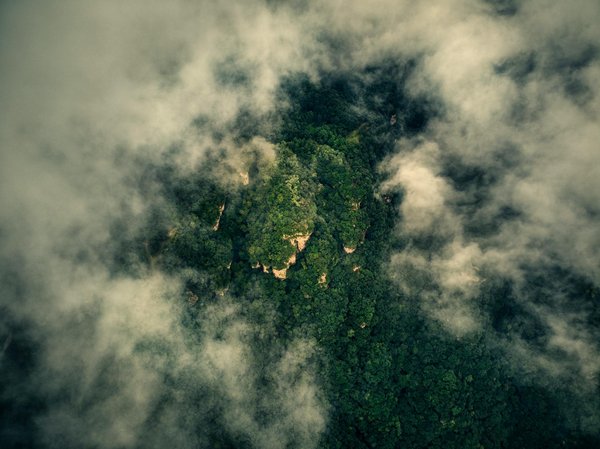 Application De Casino Avec Bonus