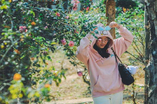 Slots De Casino Buffalo Gratuits