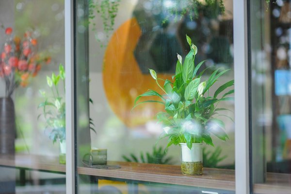 Logiciel Pour Roulette