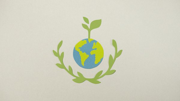 Astuces Dans Les Casinos