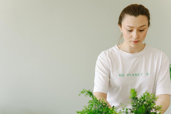 Casino Tour Gratuits